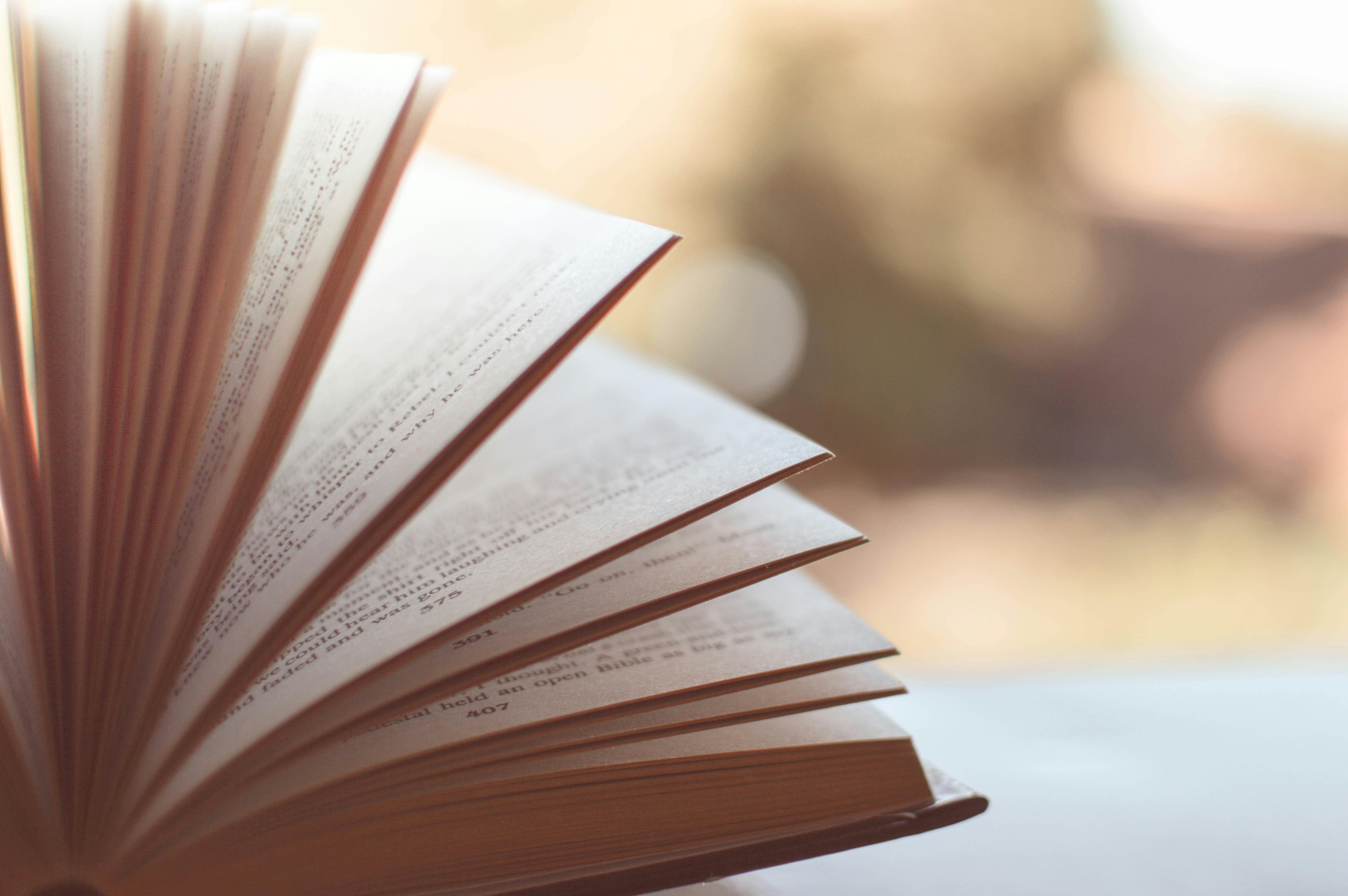 Love London Love Culture’s Book Picks: August 2024