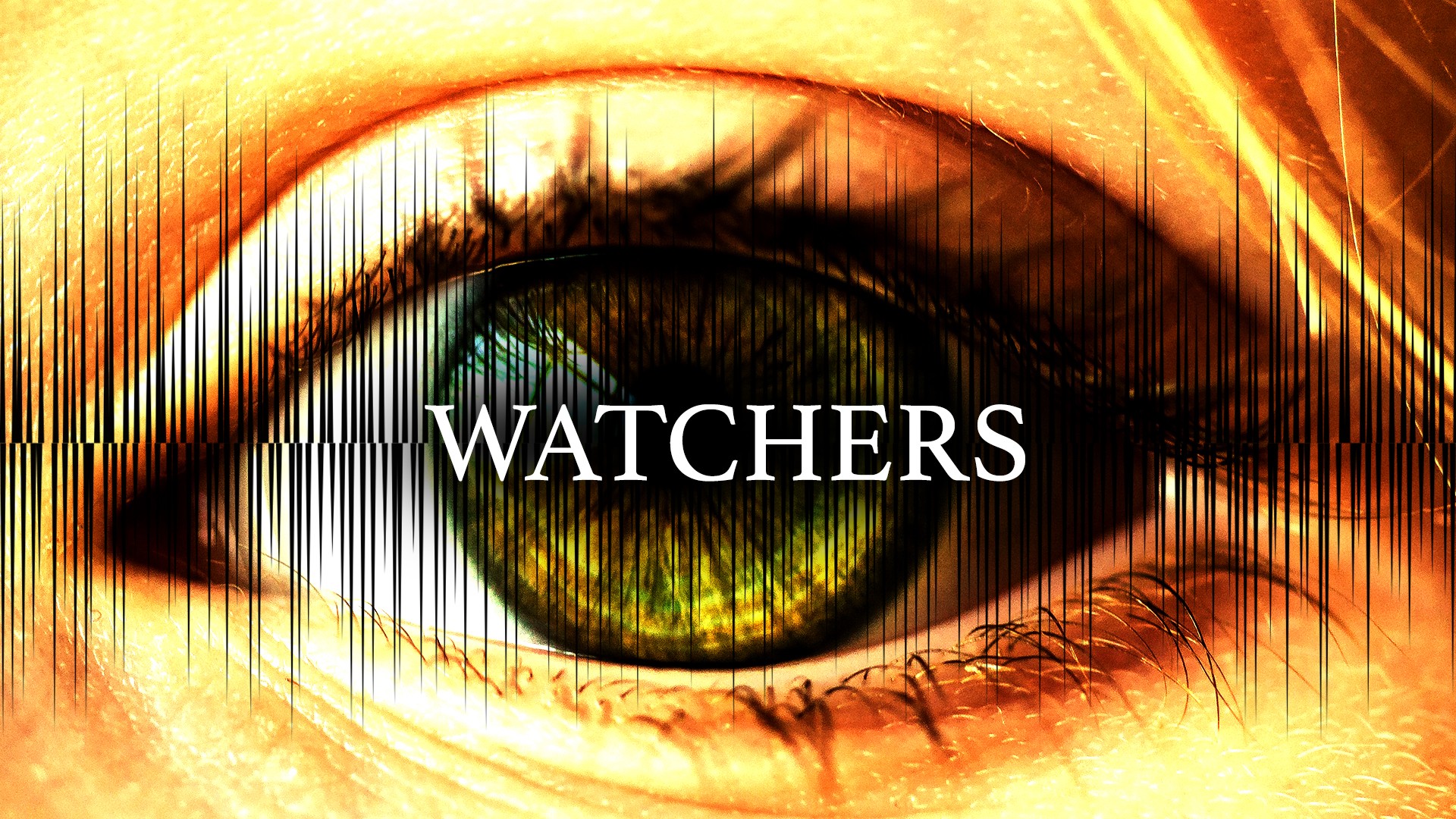 NEWS: 36 Inch Penguin Announce the Launch of Immersive Audio Experience ‘Watchers’