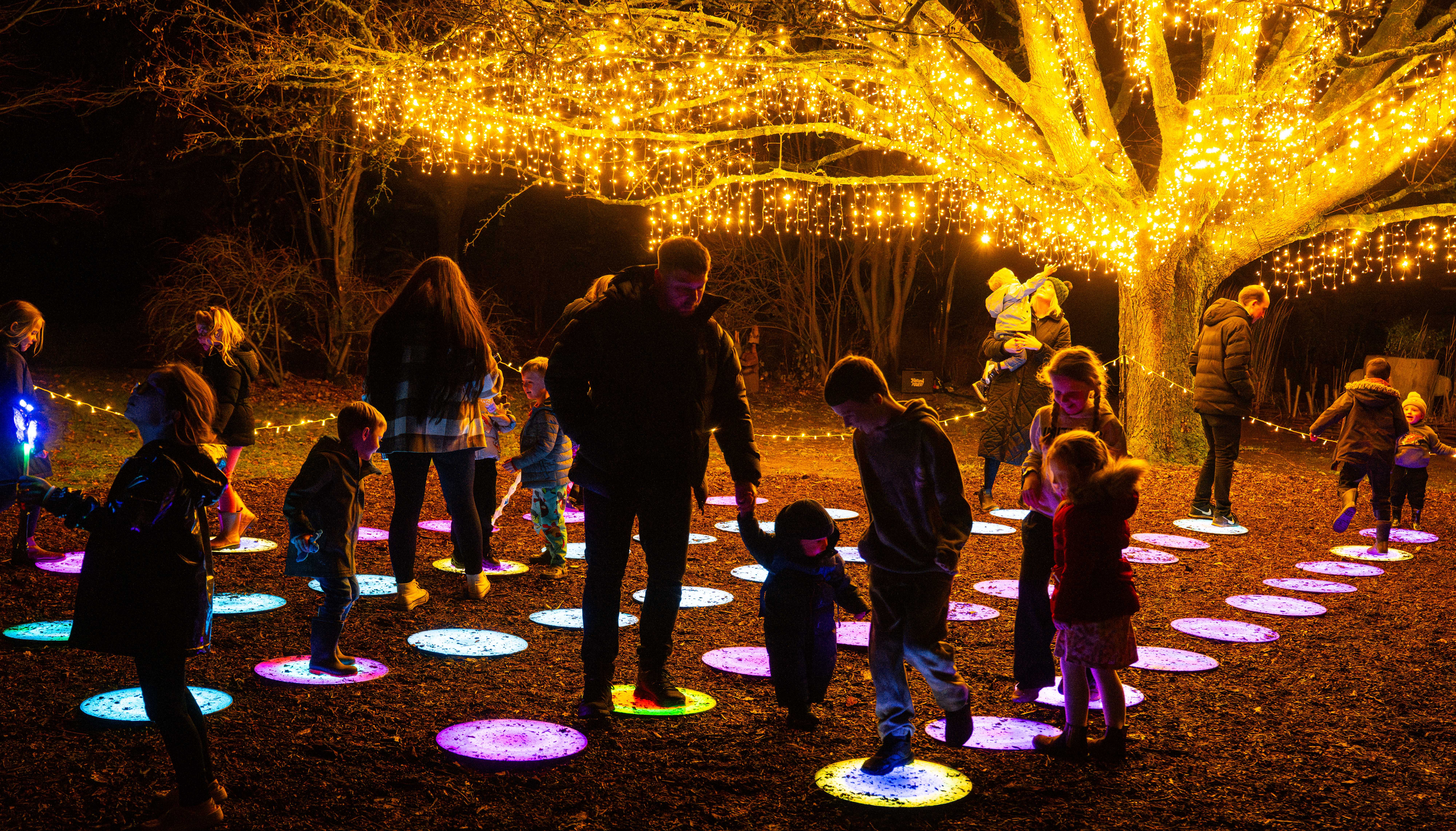 NEWS: Light Up Trails Return to Sir Harold Hillier Gardens